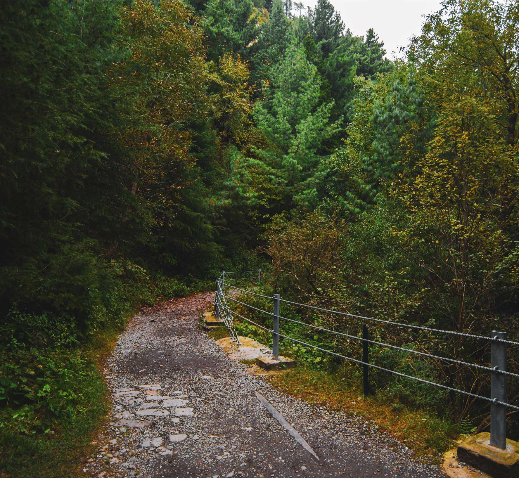DUNGA GALI